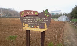 보도자료-남동구 실버농장 개장 내용 | 남동구청>소식과 알림>남동소식 보도자료-남동구 실버농장 개장  내용 | 남동구청>소식과 알림>남동소식