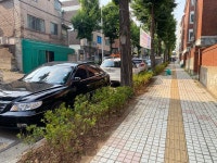 보도자료-만수5동 주민자치회, 만경로에 ‘우리 동네 걷고 싶은 꽃길’... 주민자치회, 만경로에 ‘우리 동네 걷고 싶은 꽃길’ 조성  내용... 