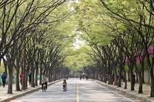 남동구사계-인천대공원의 5월... 내용 | 남동구청 남동 사진첩 남동구사계-인천대공원의 5월...  내용 | 남동구청 남동 사진첩