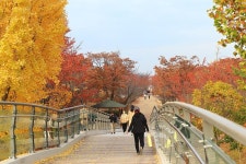남동구사계-인천중앙공원 내용 | 남동구청 남동 사진첩 남동구사계-인천중앙공원  내용 | 남동구청 남동 사진첩