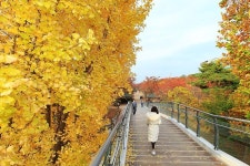 남동구사계-인천중앙공원 내용 | 남동구청 남동 사진첩 남동구사계-인천중앙공원  내용 | 남동구청 남동 사진첩