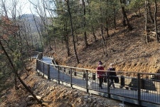 남동구사계-만수산 무장애 나눔길 내용 | 남동구청 남동 사진첩 남동구사계-만수산 무장애 나눔길  내용 | 남동구청 남동 사진첩