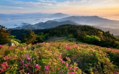 남해12경 | 남해문화공원 > 망운산과 화방사
