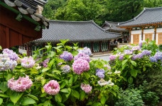 마을여행 | 남해문화공원 > 용문사
