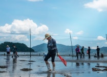 체험마을 - 문항어촌체험마을 | 남해문화공원 > 문항어촌체험마을