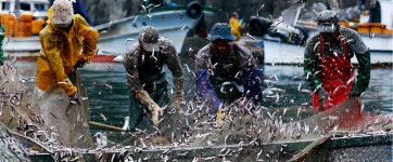 주요 축제/행사 | 남해문화공원 > 보물섬 해산물축제