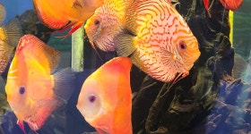 남원 문화관광 > 남원에가면 > 백두대간생태교육장전시관 > 전시·관람 > 에코큐브