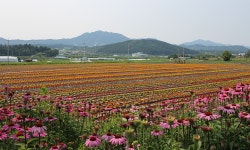 게시물 보기 페이지