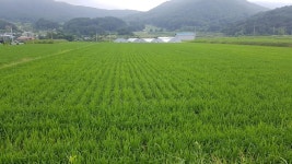 게시물 보기 페이지