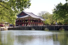 관광안내 > 포토갤러리 상세보기 > 광한루원의 신록광한루원의 신록 관광안내 > 포토갤러리 상세보기 > 광한루원의 신록