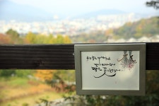 관광안내 > 포토갤러리 상세보기 > 덕음산 솔바람길덕음산 솔바람길 관광안내 > 포토갤러리 상세보기 > 덕음산 솔바람길