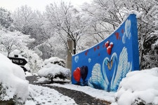 관광안내 > 포토갤러리 상세보기 > 춘향테마파크 벽화춘향테마파크 벽화 관광안내 > 포토갤러리 상세보기 > 춘향테마파크 벽화