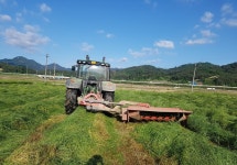 소통과 참여 > 시정홍보 > 보도자료 상세보기 남원시 조사료 생산기반확충위해 35억 투자