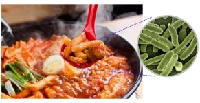 아람식품 33국물떡볶이소스 순한맛, 대장균 수치 초과...전량회수조치