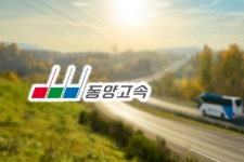 지금 사도 될까요? 9연상 동양고속 한 달 만에 1700% 폭등…전망 보니 \