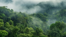Nasdaq Supplier Sustainability | Nasdaq Nasdaq Supplier Sustainability