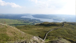 National Geographic - There’s Never Been A Better Time To Make Your Cities Wild #neverbetter #wildcities