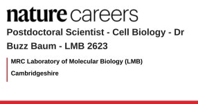 Postdoctoral Scientist - Cell Biology - Dr Buzz Baum - LMB 2623... LMB 2623 - Cambridgeshire job with MRC Laboratory of Molecular... 