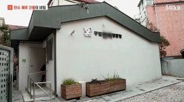 노원구청 : 노원구청 > 노원소개 > 알림마당 > 언론보도 > 방송보도