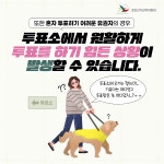 SNS 콘텐츠 | 정책/홍보 | 자료공간 | 중앙선거관리위원회 											 SNS 콘텐츠 | 정책/홍보  | 자료공간  | 중앙선거관리위원회... 