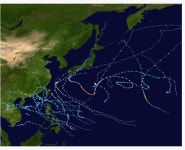 올해 발생한 태풍 이동경로 - 유머 / 재미 / 감동 - 네모판 올해 발생한 태풍 이동경로