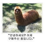 제목학원 모음 - 유머 / 재미 / 감동 - 네모판 제목학원 모음