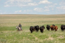 미국의 대평원 그레이트 플레인스 - 이슈 / 사건 / 정치 - 네모판 미국의 대평원 그레이트 플레인스