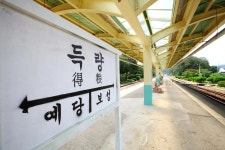 기차가 서지 않는 간이역의 사진들 - 이슈 / 사건 / 정치 - 네모판 기차가 서지 않는 간이역의 사진들