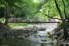 대숲맑은 담양 - 전남 담양군 - 여행 / 풍경 / 호텔 - 네모판 대숲맑은 담양 - 전남 담양군
