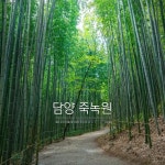 대숲맑은 담양 - 전남 담양군 - 여행 / 풍경 / 호텔 - 네모판 대숲맑은 담양 - 전남 담양군