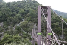 대숲맑은 담양 - 전남 담양군 - 여행 / 풍경 / 호텔 - 네모판 대숲맑은 담양 - 전남 담양군