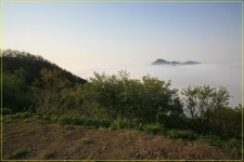 고려산 운해 - 여행 / 풍경 / 호텔 - 네모판 고려산 운해