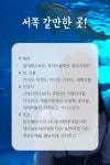 제주도 동서남북 여행 핵심정리 - 여행 / 풍경 / 호텔 - 네모판 제주도 동서남북 여행 핵심정리