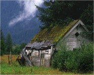 초원의 집 - 여행 / 풍경 / 호텔 - 네모판 초원의 집