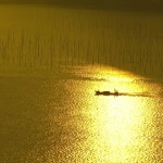 금빛 저녁노을 해안 - 여행 / 풍경 / 호텔 - 네모판 금빛 저녁노을 해안