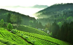 다양한 자연의 풍경들 !! - 여행 / 풍경 / 호텔 - 네모판 다양한 자연의 풍경들 !!