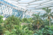 힐링과 산책이 있는 마곡 서울식물원 - 여행 / 풍경 / 호텔 - 네모판 힐링과 산책이 있는 마곡 서울식물원