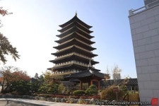 경주에 있는 황룡사 9층탑의 모양을 본따 만든 연수원.jpg - 여행 / 풍경 / 호텔 - 네모판 경주에 있는 황룡사 9층탑의 모양을 본따 만든... 