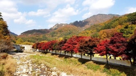 경상북도 문경새재.jpg - 여행 / 풍경 / 호텔 - 네모판 경상북도 문경새재.jpg