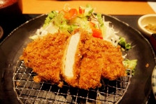 경양식 돈가스 & 일본식 돈가스 - 음식 / 과일 / 외식 - 네모판 경양식 돈가스 &amp; 일본식 돈가스