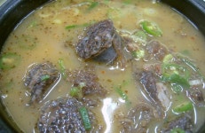 순대국 - 음식 / 과일 / 외식 - 네모판 순대국