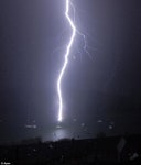 영화에나 나올법한 천둥번개를 순간포착~ - 자연 / 동물 / 식물 - 네모판 영화에나 나올법한 천둥번개를 순간포착~