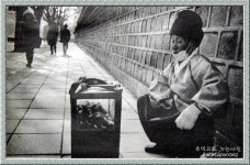 추억속 연탄불에 띠기(뽑기)를 기억하시나요? - 생활 / 자랑 / 추억 - 네모판 추억속 연탄불에 띠기(뽑기)를 기억하시나요?