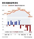 다시 뛰어오른 환율, 외환보유고 급감 괜찮나?? - 지금국내엔 - 네모판 다시 뛰어오른 환율, 외환보유고 급감 괜찮나??