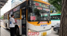 시각장애인이 버스를 타려고 하면 - 지금국내엔 - 네모판 시각장애인이 버스를 타려고 하면