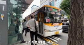 시각장애인이 버스를 타려고 하면 - 지금국내엔 - 네모판 시각장애인이 버스를 타려고 하면