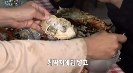 마다가스카르에서 남자 세명이 배불리 먹은 저녁 식사 값.jpg - 연예이슈 수다방 - 네모판 마다가스카르에서 남자 세명이 배불리 먹은 저녁... 