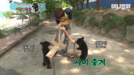 킥보드 타는 아기곰 새콤이와 달콤이.jpgif - 연예이슈 수다방 - 네모판 킥보드 타는 아기곰 새콤이와 달콤이.jpgif
