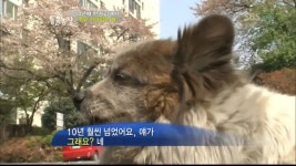 동물농장 10년간의 기다림 - 연예이슈 수다방 - 네모판 동물농장 10년간의 기다림