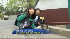 동물농장 10년간의 기다림 - 연예이슈 수다방 - 네모판 동물농장 10년간의 기다림
